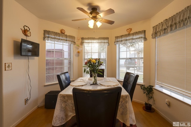 dining space with ceiling fan, wood-type flooring, and a wealth of natural light