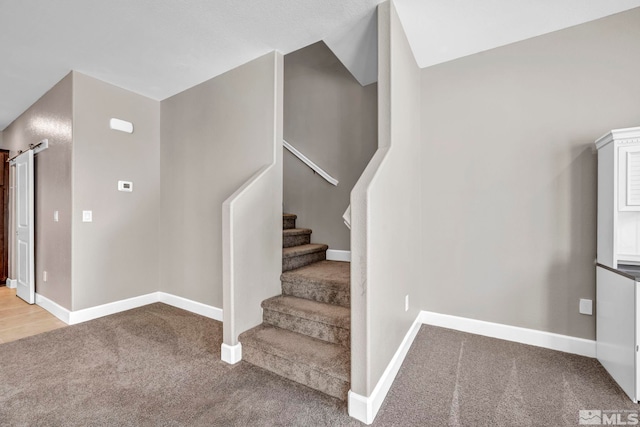 staircase featuring carpet floors