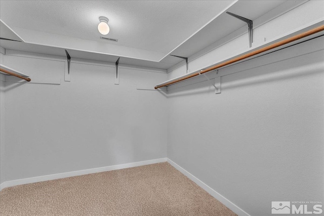 spacious closet featuring carpet floors