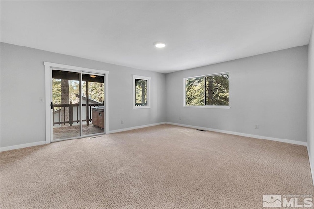 spare room with carpet floors and a healthy amount of sunlight