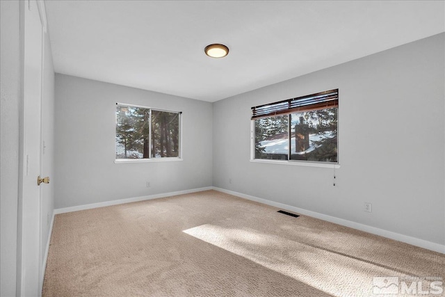 spare room featuring a healthy amount of sunlight and carpet flooring