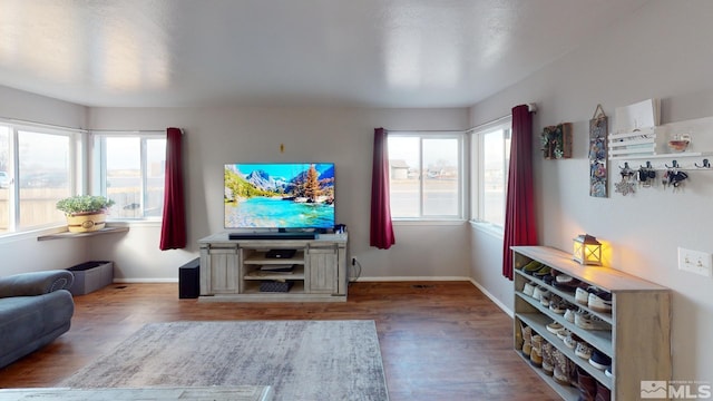 living room featuring wood-type flooring