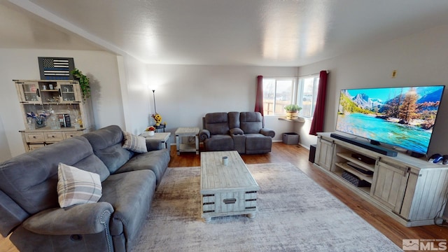 living room featuring light hardwood / wood-style floors