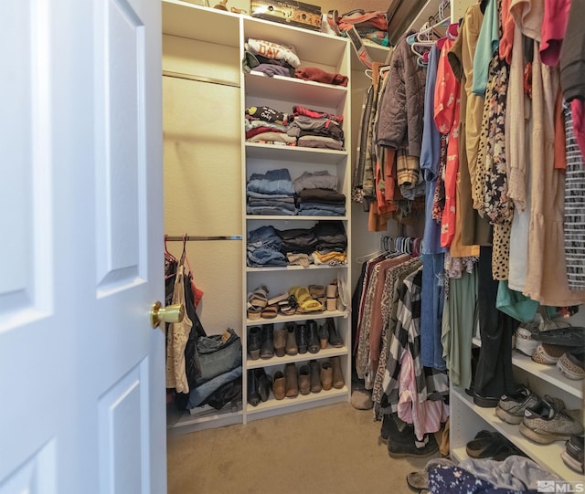 walk in closet featuring carpet flooring