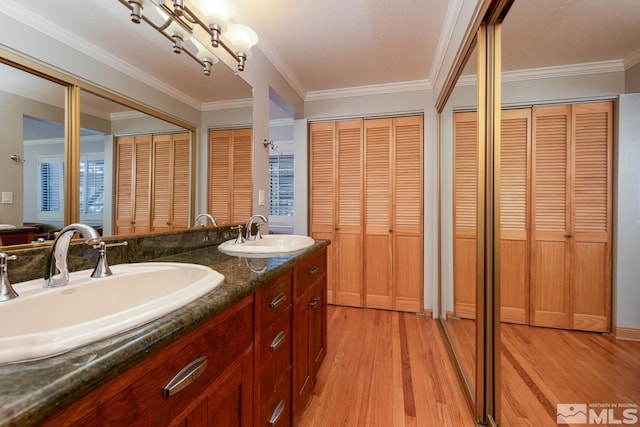 bathroom featuring wood-type flooring, ornamental molding, and vanity