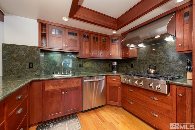 kitchen featuring a raised ceiling, ventilation hood, sink, decorative backsplash, and stainless steel appliances