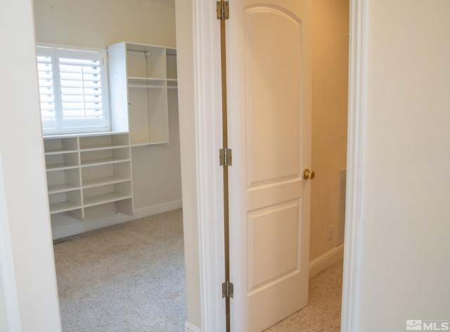 view of spacious closet