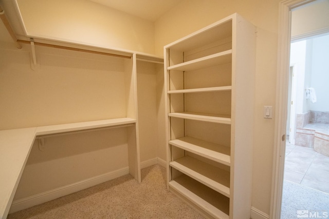 spacious closet featuring carpet floors