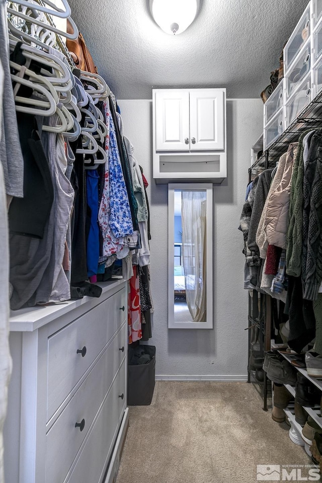 spacious closet with light colored carpet