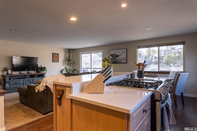 kitchen with a center island, dark hardwood / wood-style floors, and stainless steel gas range