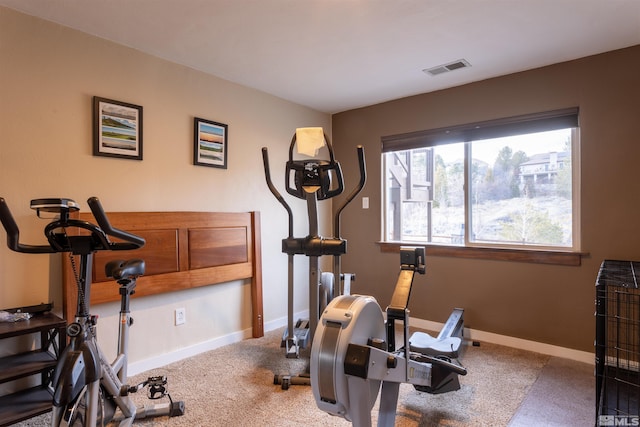 exercise room with carpet floors