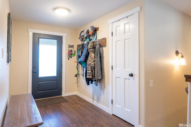 entrance foyer featuring dark hardwood / wood-style flooring