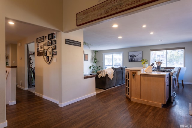 kitchen with a kitchen island, dark hardwood / wood-style flooring, and stainless steel gas stove