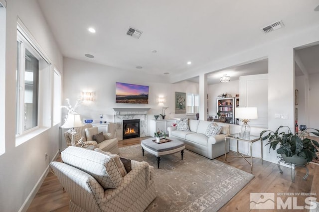 living room with a premium fireplace, plenty of natural light, and light hardwood / wood-style flooring