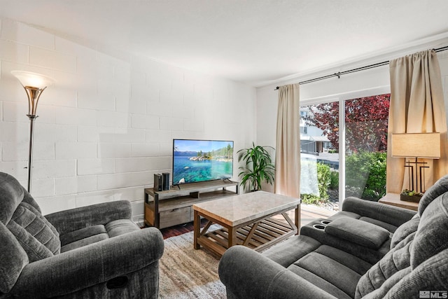 living room with hardwood / wood-style flooring