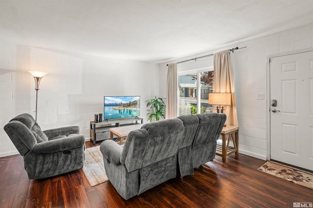 living room with dark hardwood / wood-style flooring