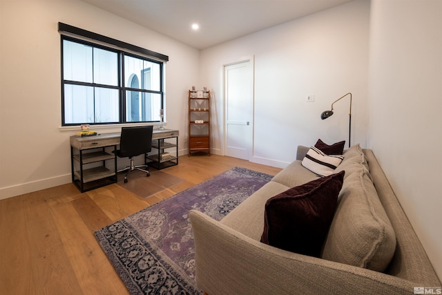 office featuring wood-type flooring