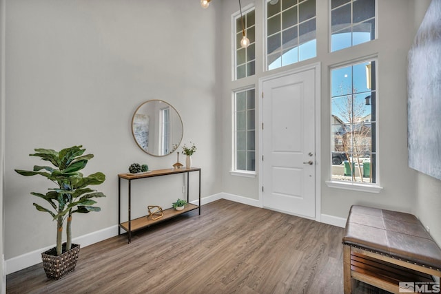 foyer with hardwood / wood-style flooring, plenty of natural light, and a towering ceiling