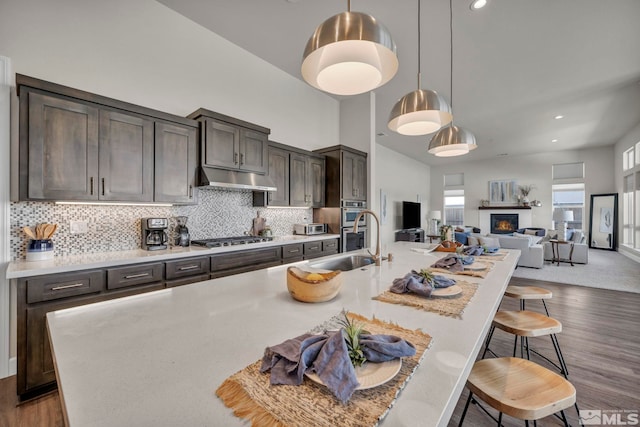 kitchen featuring dark brown cabinetry, hanging light fixtures, tasteful backsplash, and appliances with stainless steel finishes