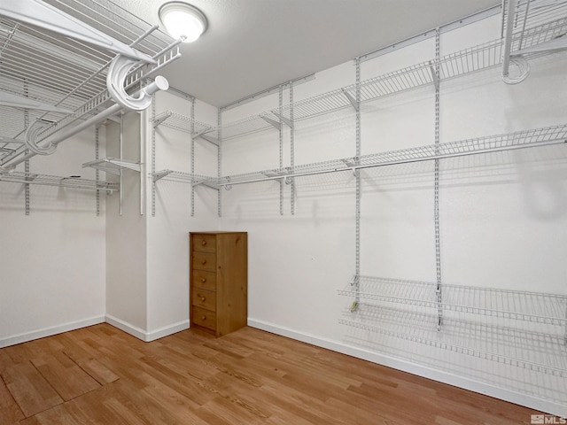 spacious closet with hardwood / wood-style flooring