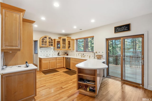 kitchen featuring light hardwood / wood-style flooring, stainless steel dishwasher, a healthy amount of sunlight, and light brown cabinets