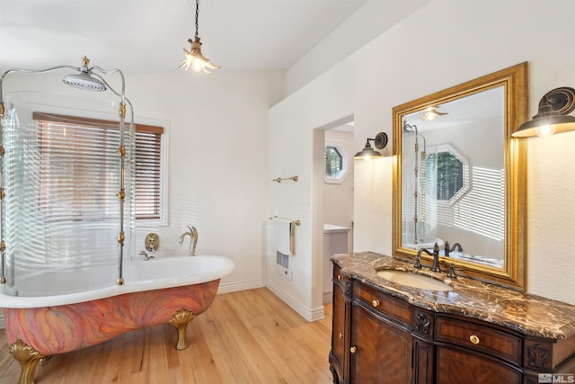 bathroom with vanity, hardwood / wood-style floors, and a bathtub