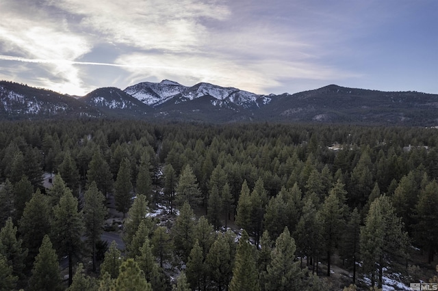 view of mountain feature