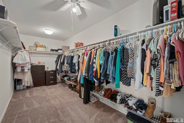 walk in closet featuring ceiling fan and carpet flooring