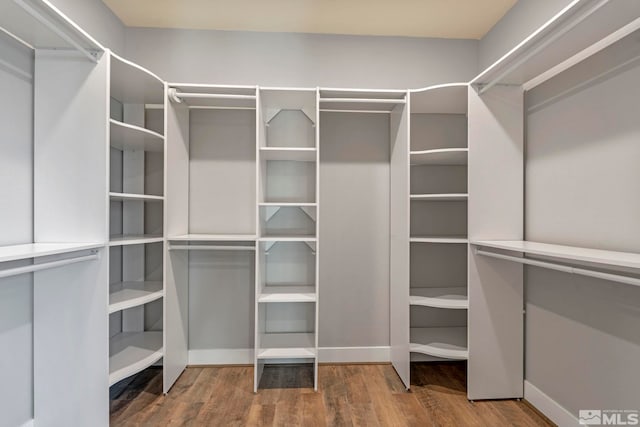 walk in closet with wood-type flooring