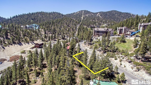 363 Tramway, Stateline NV, 89449 land for sale