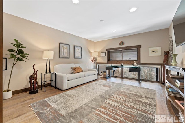 living room with light wood-type flooring