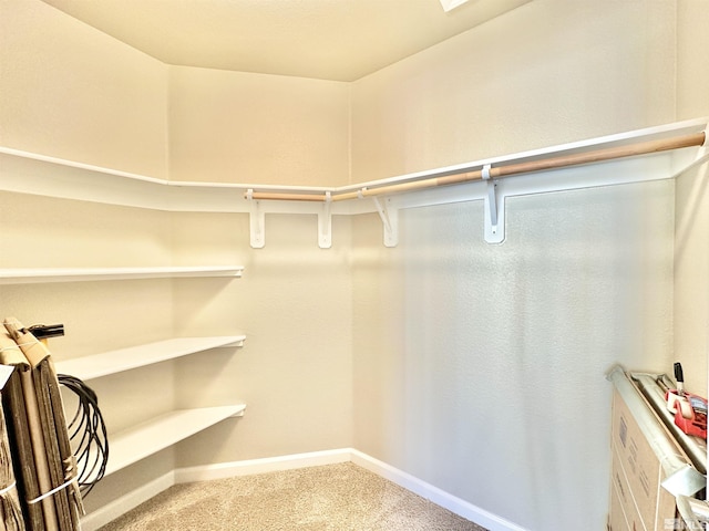 walk in closet with carpet