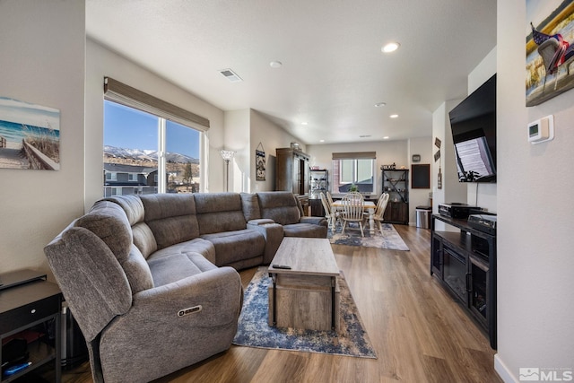 living room featuring hardwood / wood-style flooring