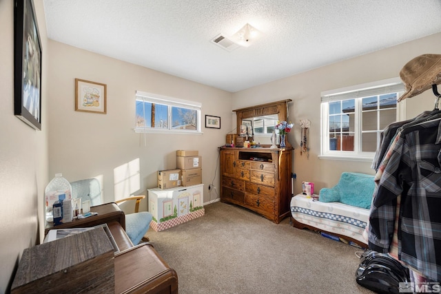 sitting room with carpet floors and a textured ceiling