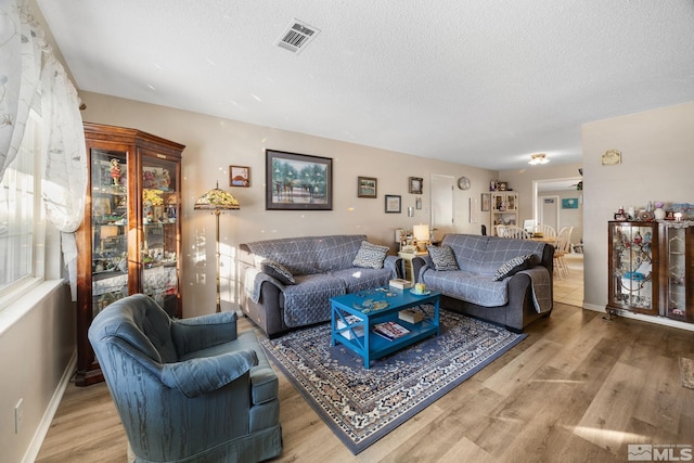 living room with wood-type flooring and a textured ceiling