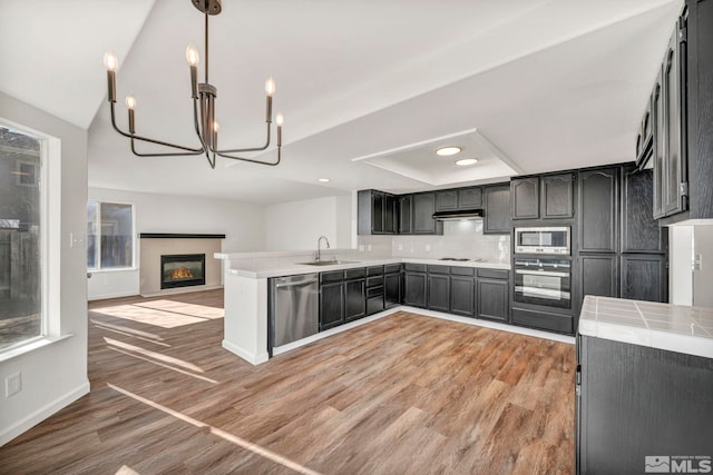 kitchen with sink, tasteful backsplash, hanging light fixtures, light hardwood / wood-style flooring, and stainless steel appliances