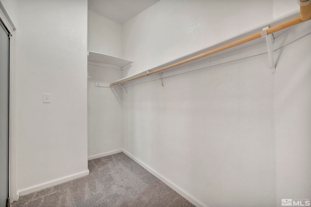 spacious closet featuring light carpet