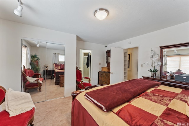 bedroom with multiple windows, light carpet, and track lighting