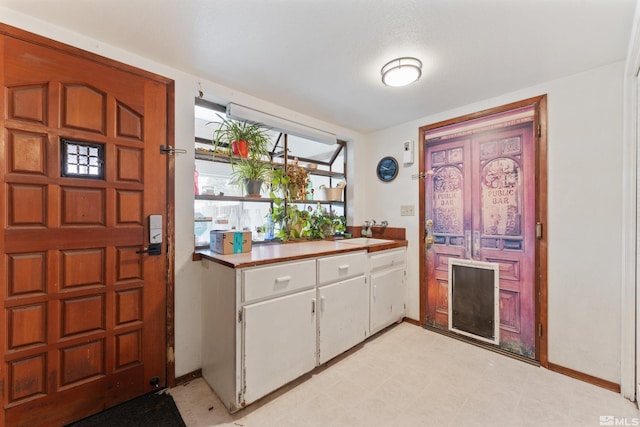 entrance foyer with sink