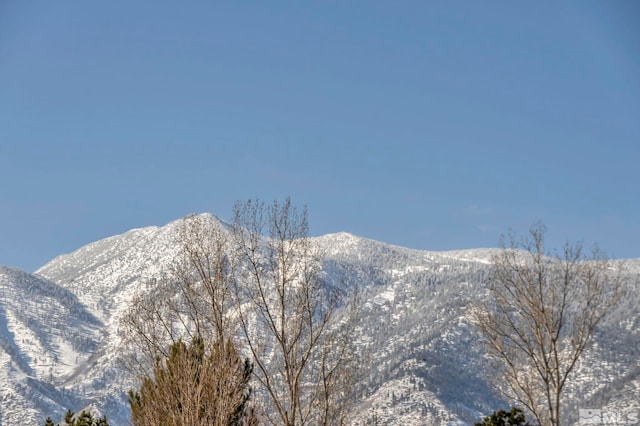 view of mountain feature