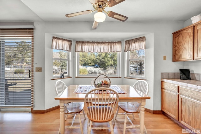 dining room with ceiling fan and light hardwood / wood-style floors