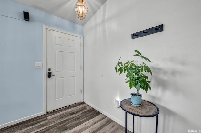 foyer entrance featuring dark wood-type flooring