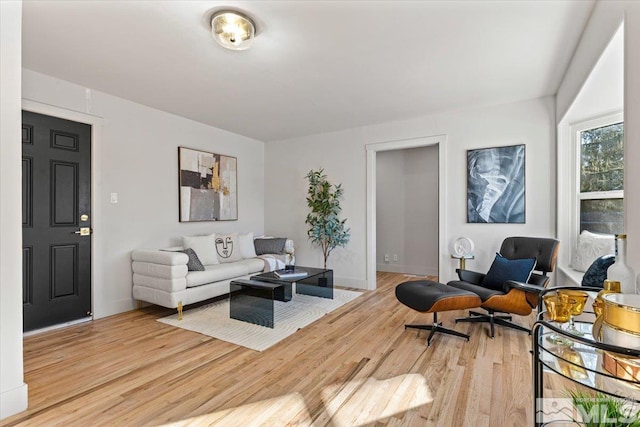 living room featuring light hardwood / wood-style flooring