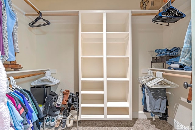 spacious closet with carpet floors