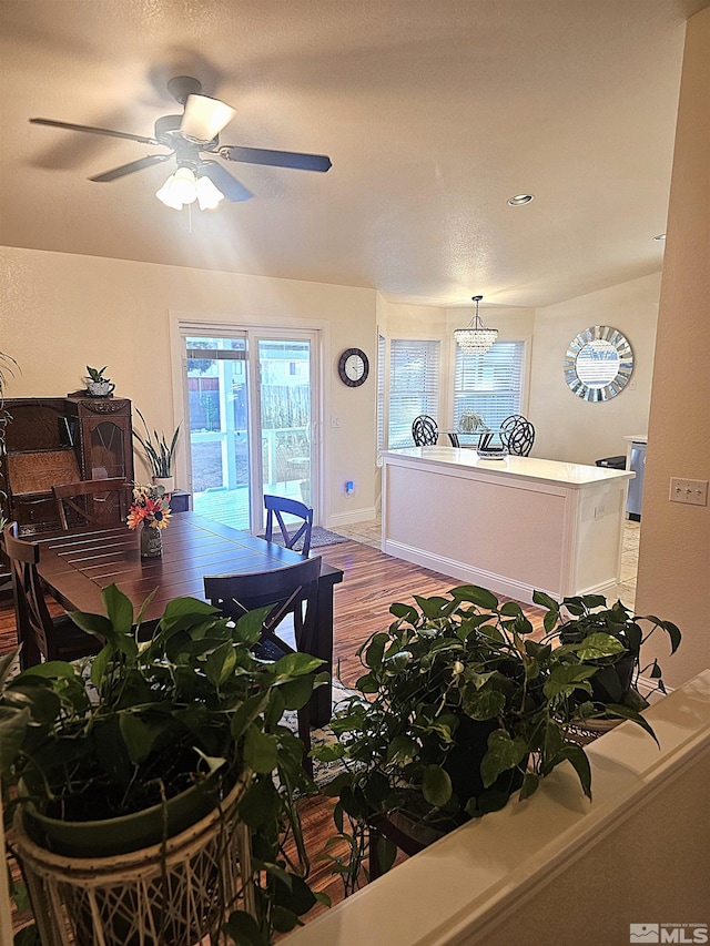 interior space with ceiling fan with notable chandelier and light hardwood / wood-style floors