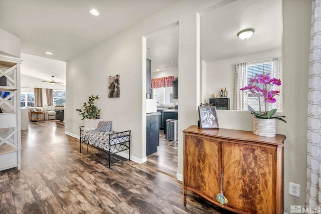 hall featuring dark hardwood / wood-style flooring