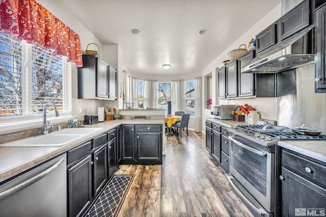 kitchen featuring sink, hardwood / wood-style flooring, exhaust hood, and appliances with stainless steel finishes