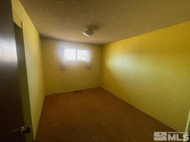 spare room with carpet flooring and a textured ceiling