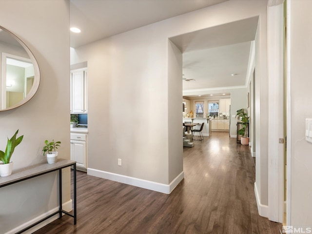 corridor featuring dark hardwood / wood-style floors