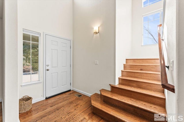 entrance foyer featuring plenty of natural light and wood-type flooring